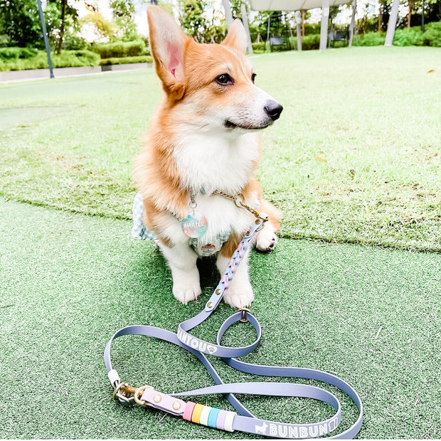 Rainbow Braided Multiway Leash