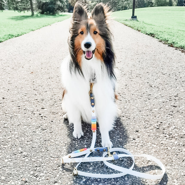 Rainbow Braided Multiway Leash