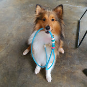 Rounded Rope Leash