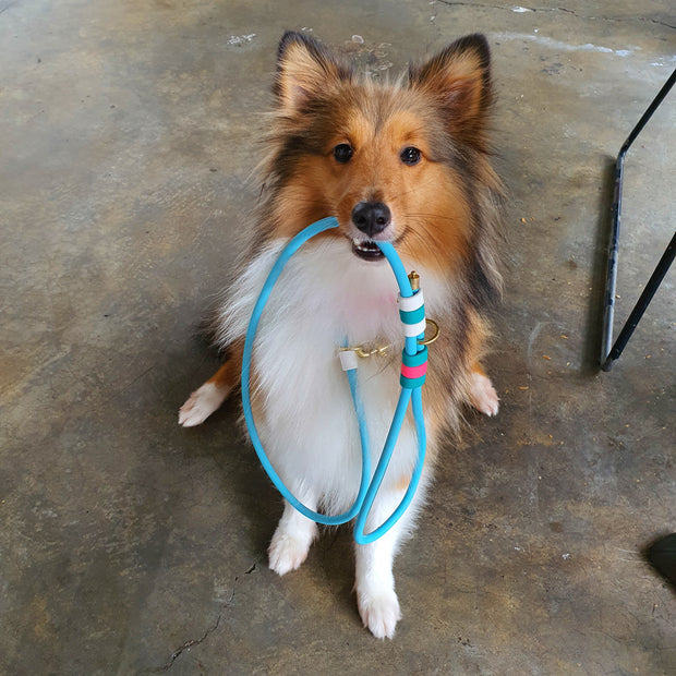 Rounded Rope Leash