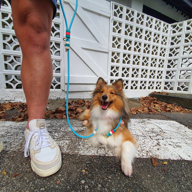 Rounded Rope Leash