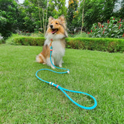 Rounded Rope Leash