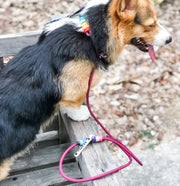 Rounded Rope Leash