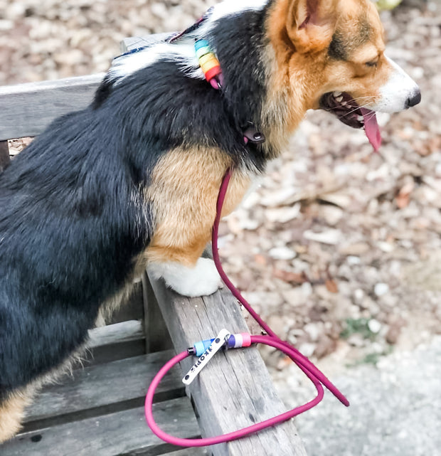 Rounded Rope Leash