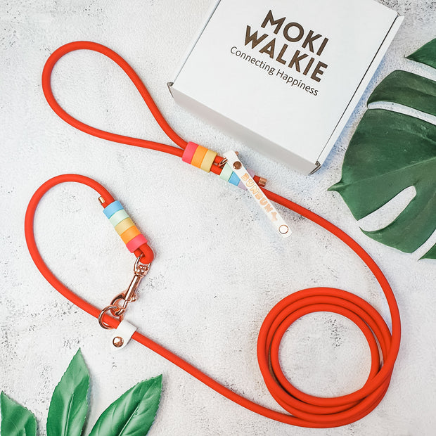 Rounded Rope Leash