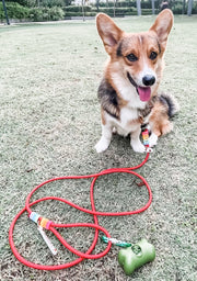 Rounded Rope Leash