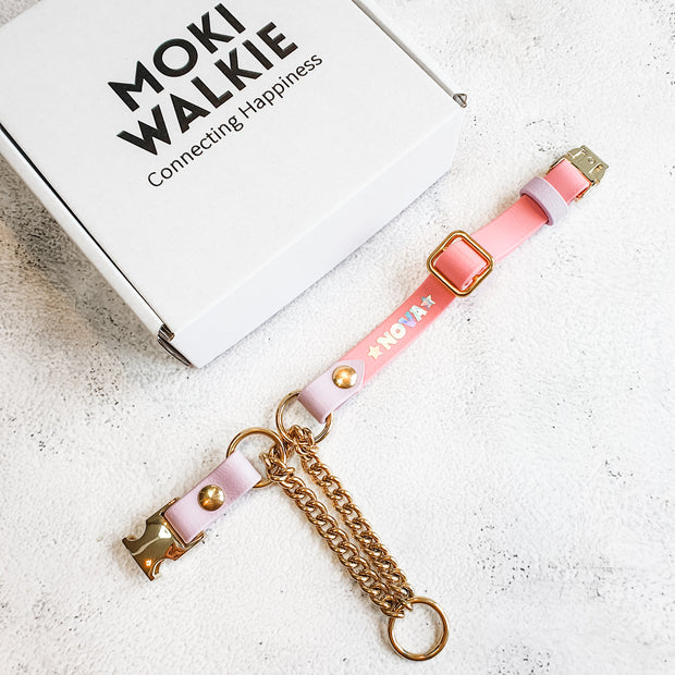 Easy Clip Adjustable Martingale Collar