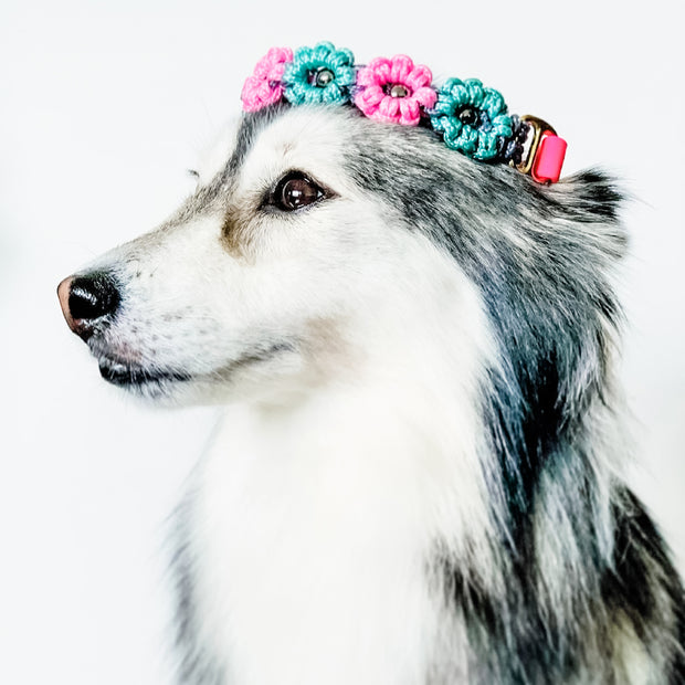 Easy Clip Flower Collar (Fixed)