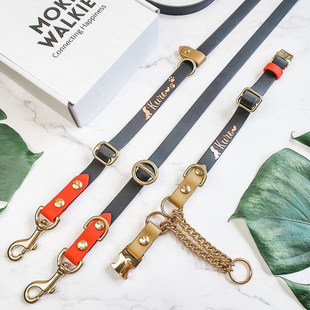 Easy Clip Adjustable Martingale Collar