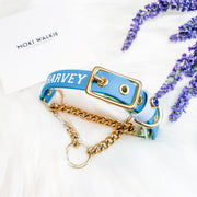Martingale Collar